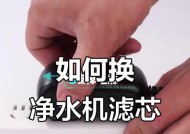 如何正确更换净水器滤芯（详细步骤帮助你轻松更换滤芯）