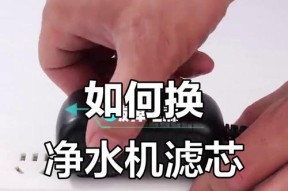 如何正确更换净水器滤芯（详细步骤帮助你轻松更换滤芯）