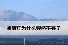 家里灯不亮的原因和解决方法（如何修复家中灯泡不亮的问题）
