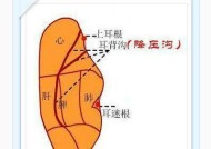 蓝牙耳机小号耳帽适合哪种耳道？