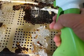 轻松清洁，以海爱家油烟机让家居环境更清新（探秘海爱家油烟机清洗技巧，家居生活更健康）