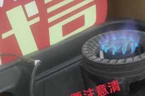 帅康燃气灶无法点火的原因及解决方法（分析帅康燃气灶无法点火的主要原因，并给出解决方案）