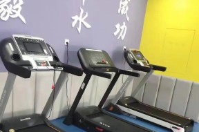 跑步机E06使用与维护指南（了解如何正确使用和保养跑步机E06）