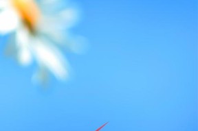 Win7输入法不见了怎么调出来？（解决Win7输入法不见的方法及步骤）