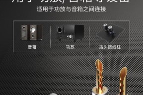 音箱冷门插头有哪些品牌？如何选择合适的插头？