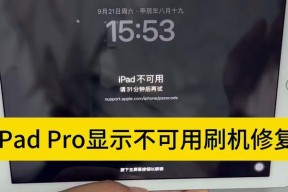 iPad黑屏无法唤醒解决方法（如何解决iPad屏幕黑屏问题）