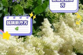 电脑发出马叫的声音怎么回事？可能是哪些原因导致的？