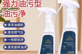 抽油烟机油污清洗方法大全（掌握正确的清洗技巧）