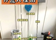 如何正确清洗冰箱钢丝球（有效去除污渍）