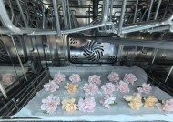 洗碗机烘干消毒方法（让你的碗筷更干净）