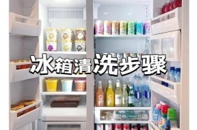 清洗冰箱的重要性（为什么要经常清洗冰箱）