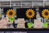 电脑桌装饰品选择有哪些经济实惠的？