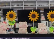 电脑桌装饰品选择有哪些经济实惠的？