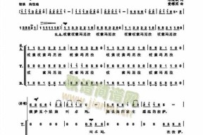 低音炮师哥合唱的歌曲名称是什么？