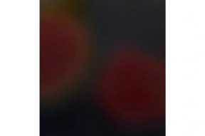 苹果相机打开很暗是什么原因？