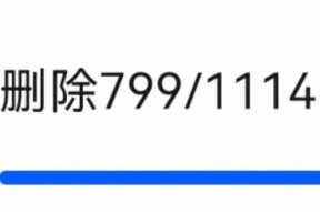 鸿蒙手机存储空间清理指南（优化手机性能，释放存储空间，让鸿蒙手机更快更流畅）