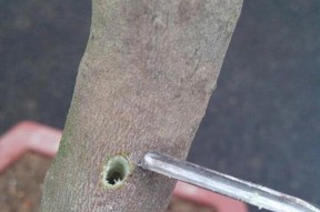 手机壳钻孔技巧是什么？需要哪些工具？