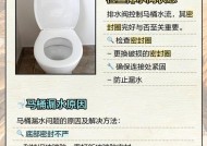 松下马桶漏水故障原因及处理方法（解决松下马桶漏水问题的有效措施）