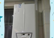 壁挂炉减压阀失效怎么办？（解决壁挂炉减压阀失效问题的有效方法）
