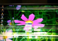 电脑花屏的原因及解决方法（揭开电脑花屏的神秘面纱）