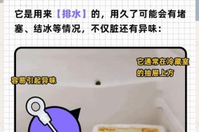 正确的冰箱清洗方法（保持冰箱清洁，健康无忧）