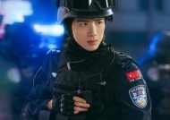 正义特警手机软件安装步骤是什么？
