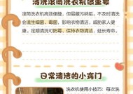 平价滚筒洗衣机清洗方法（简单易行的家用滚筒洗衣机清洗技巧）
