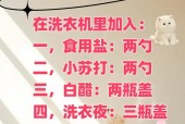 全自动洗衣机的清洗方法（一步一步教你如何清洗全自动洗衣机）