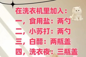 全自动洗衣机的清洗方法（一步一步教你如何清洗全自动洗衣机）