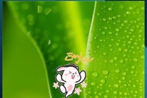 华为手机分期贷款还款流程是什么？遇到问题怎么办？