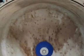 解决西门子洗衣机排水管堵塞的方法（轻松应对排水管堵塞，让洗衣机运转如新）
