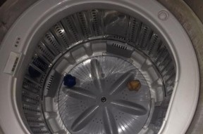 洗衣机内桶逆时针转不动的原因和解决方法（探寻洗衣机内桶转动故障的根源）
