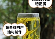 黄金芽有哪些独特特点？它对人体有哪些功效？