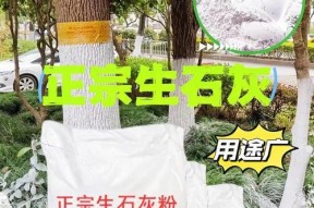 使用生石灰清洗油烟机（简单有效的清洁方法）