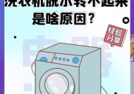 揭秘洗衣机没清洗的原因（探究洗衣机长期未清洗的危害及解决方案）