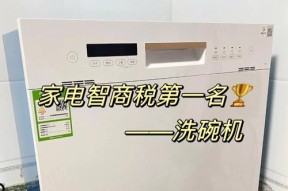如何选择适合自己的立式洗碗机（关键因素与购买建议）