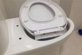 马桶盖之多样型号（了解马桶盖的种类及如何拆卸）