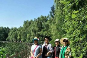 并蒂岛怎么通关？通关攻略有哪些常见问题解答？