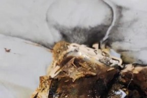 边充电边玩手机电池老化原因是什么？