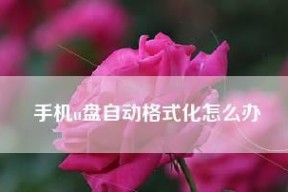 手机恢复U盘数据的神奇软件（解放你的数据）