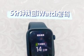 手表丢失后如何联系失主？