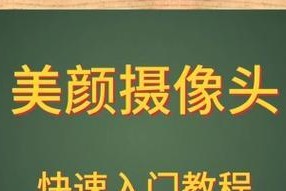 电脑下载美颜插件的步骤是什么？