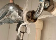 热水器出现针孔漏水，如何处理？（解决热水器针孔漏水问题的关键方法）