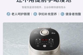 电饭煲铁釜内胆生锈的解决办法（保养小技巧让你的电饭煲焕然一新）