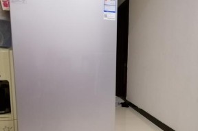 家用冰柜不工作怎么回事（解决家用冰柜不工作的问题的方法及注意事项）