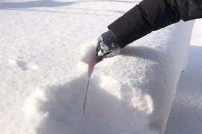 如何撰写手机在雪中丢失后的处理话题？