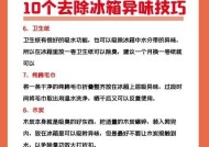 冰箱清洁的快速有效方法（省时省力）
