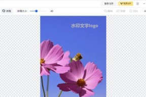 揭秘去水印的绝妙方法（轻松解密照片去水印技巧）