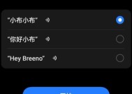 如何设置小布语音唤醒（详细教你小布语音唤醒的设置方法）