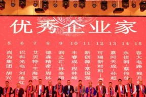 深圳得森音响厂招聘流程是怎样的？